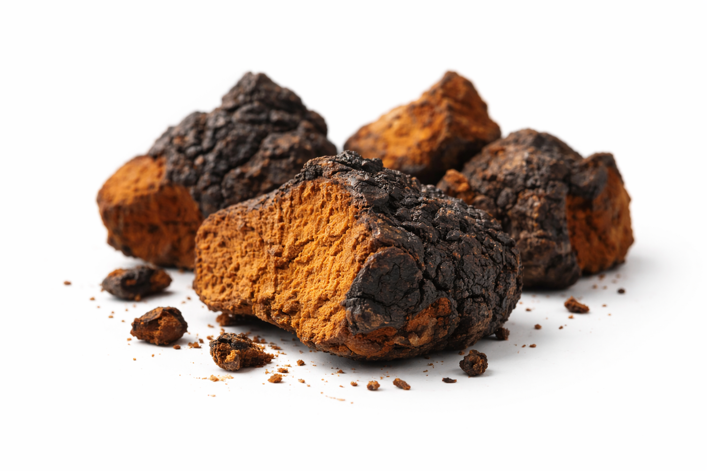 Getrockneter Chaga – Naturqualität aus wilden Birkenregionen