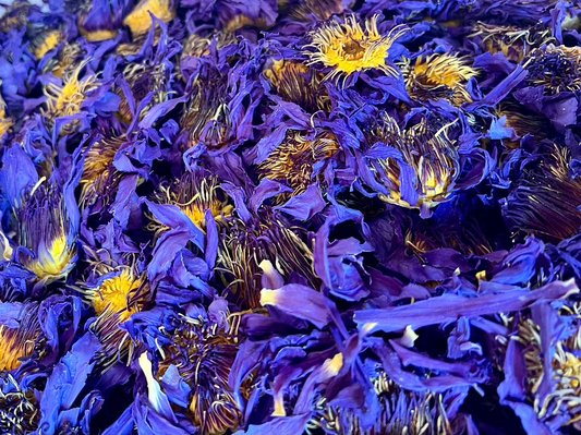 Blauer Lotus